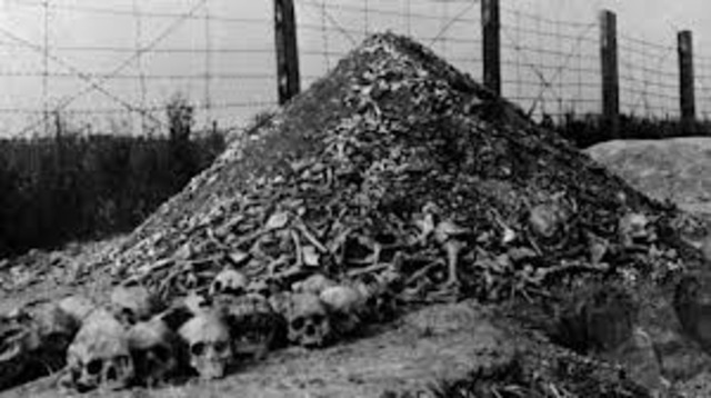 The Soviet Army liberates the Majdanek death camp.