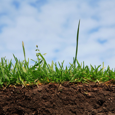 Timeline: жизнь под землей