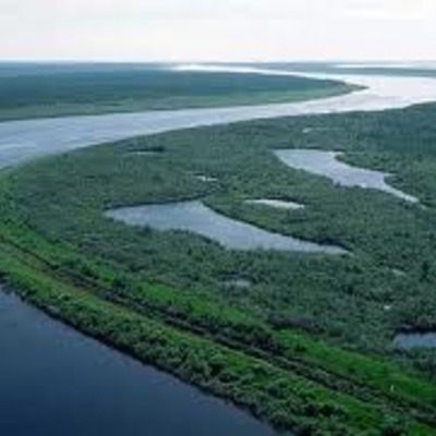 Timeline: ПРИРОДА РОДНОГО КРАЯ