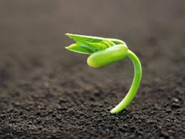 Что лежит в основе всего? Вводное занятие