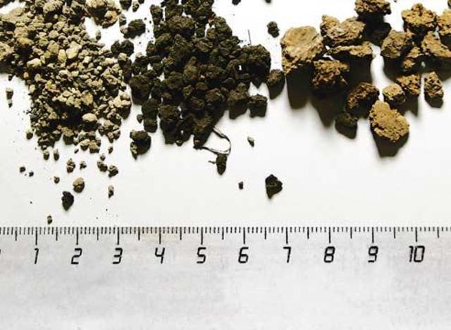 Изучение состава и строения почвы