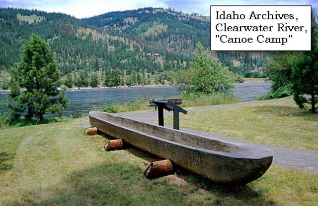 A spot where a plant or tree profoundly affected the expedition