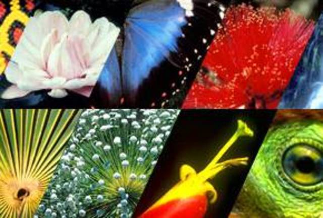 2010 ano da biodiversidade