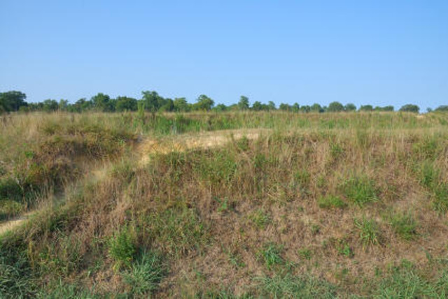 The Surrender of Yorktown