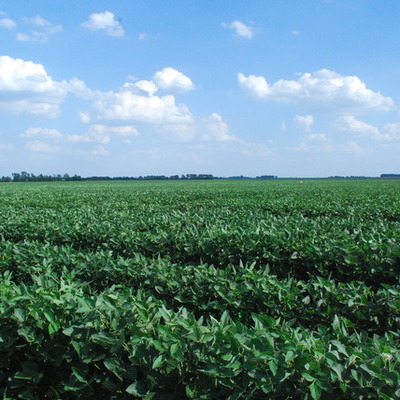 Timeline: It Starts with a Seed