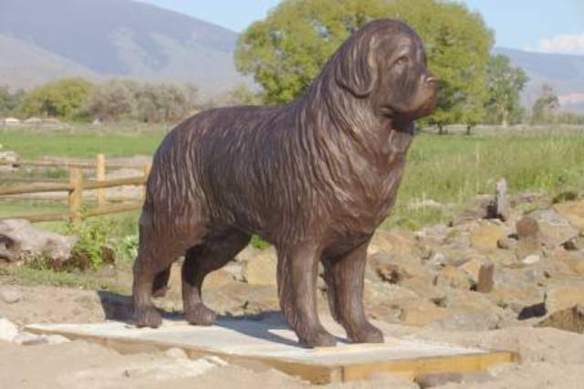 A spot where an animal profoundly affected the expedition