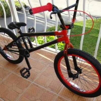 Timeline: what happend so far in dotys extreame life