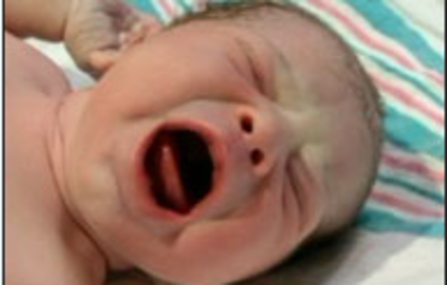 when my little brother was born