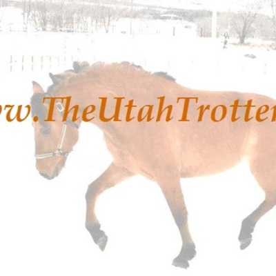 Timeline: Smokey Mtn. Ranch Controversy - Timeline