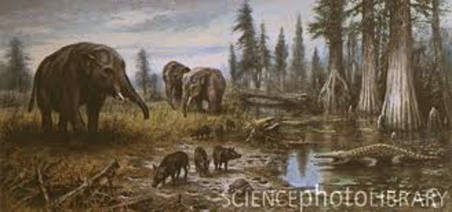Cenozoic Era- Tertiary Period 65-MYA