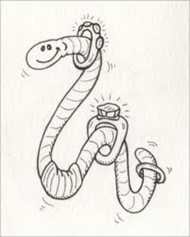 Ringworm - America off limits