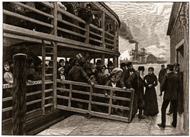 Rifka's Polish Border Examination