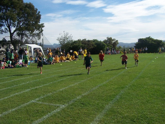 my first school carnival