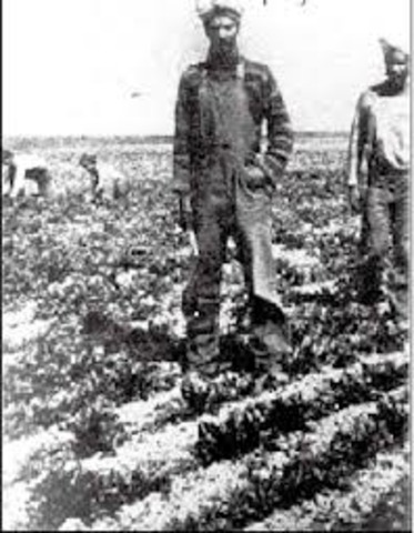 California Alien Land Law of 1913