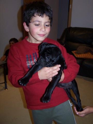 When i got by dog, Puggsy