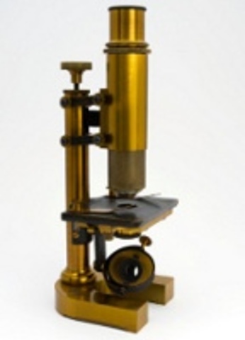 Compound Microscope