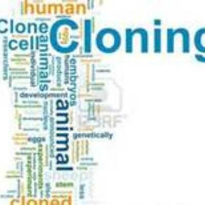Timeline: cloning