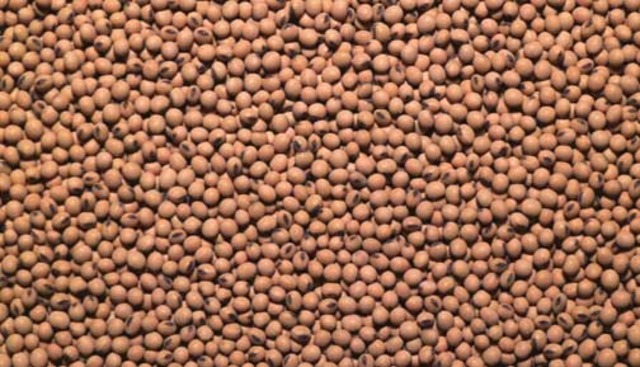 Select Seed for 2014 Season