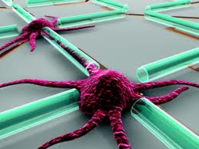 desarrolla  70 semiconductor nano