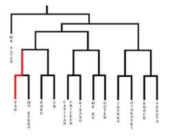 Apoya la realización de la final del torneo WCG