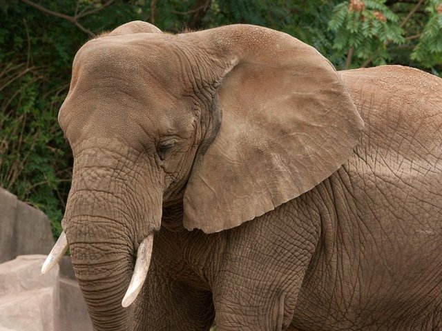 The Kids escape Dead Man's Vlei