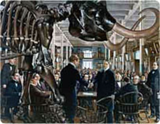 Founding Of American Medical Association