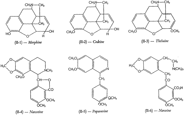Issuance of Multiple Prescriptions for Schedule II Controlled Substances