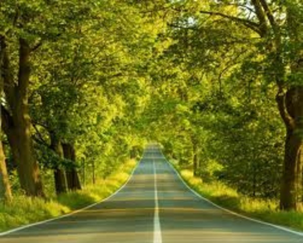 Разработка плана проекта