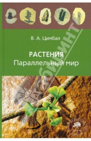 Подготовка методических пособий для организации проекта