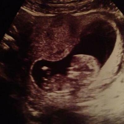 Timeline: Baby Adventure 2013