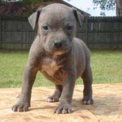 Timeline: What Changed The World ! Black History