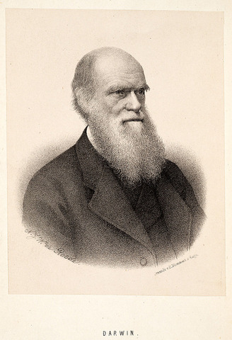 darwin born