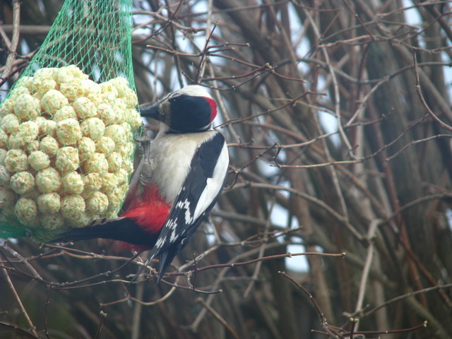 I kohtumine kursuslastega