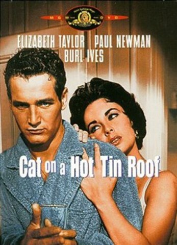 Cat on a Hot Tin Roof