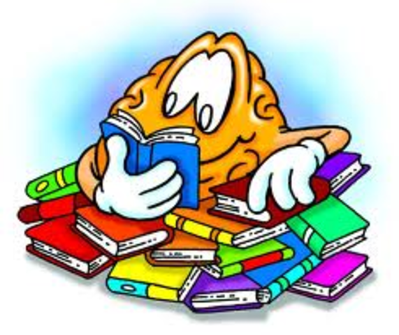 Learn new words everyday