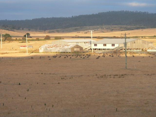 moved in to stonehenge
