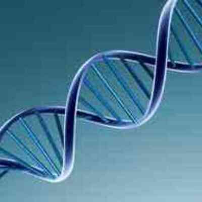 Timeline: Discovery Of DNA