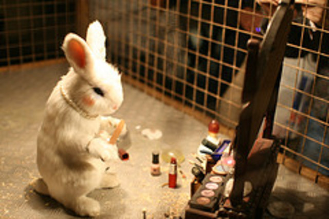 The practice of testing cosmetics on animals began.