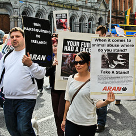 The Fund for the Replacement of Animals in Medical Experiments (FRAME) was formed in the U.K.