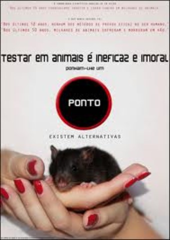 The John Hopkins Center for the Alternatives to Animal Testing was formed by the Cosmetics, Toiletry and Fragrance Association