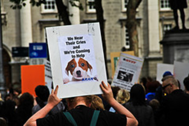 Animal testing peaked and has since been on the decline.