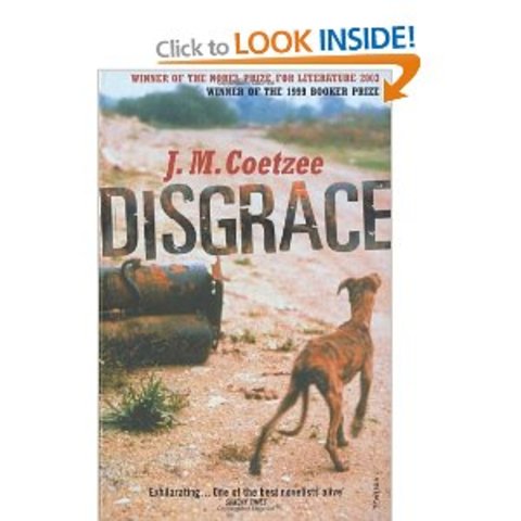 Disgrace Published