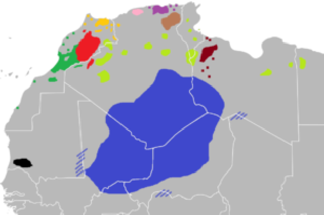 The Berber uprisings
