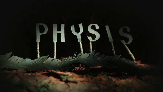 	La Physis  (VI a.C)