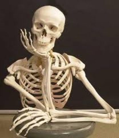 El Problema Antropológico (V-VI a.C.)