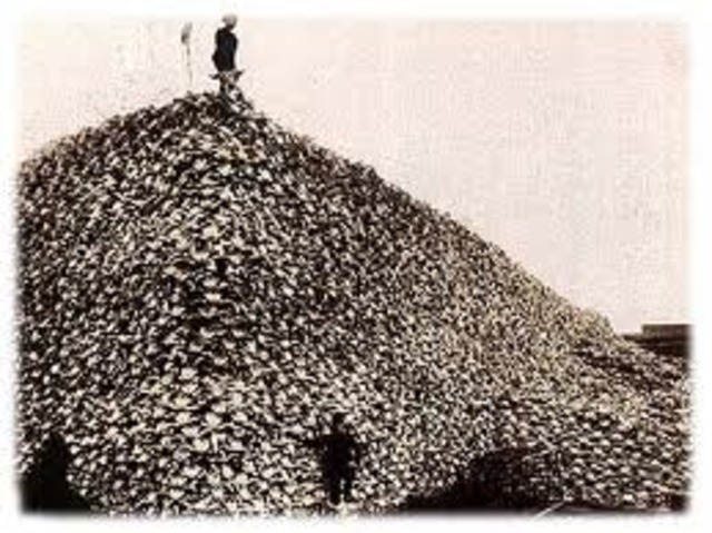 Relying on the government