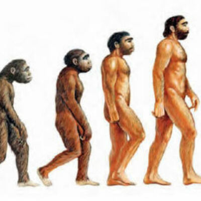 Timeline: evolucion del hombre