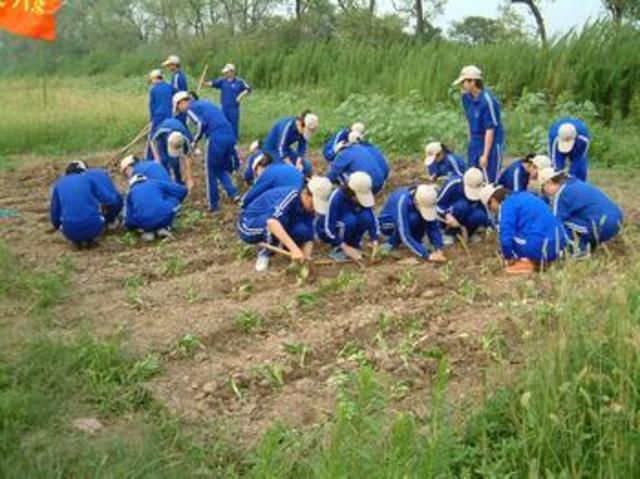 learning agricultural production