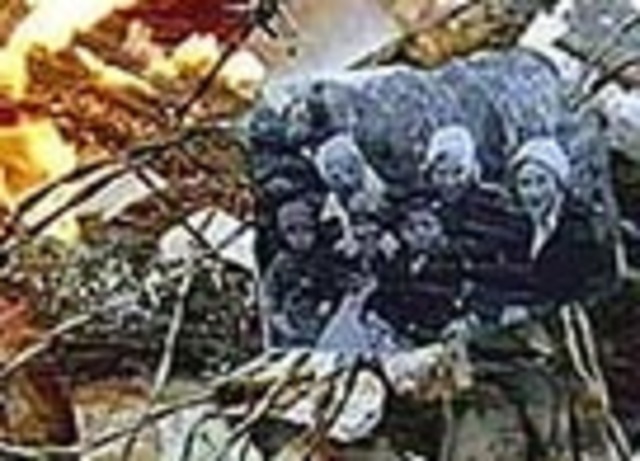 Battle Of Staliingrad