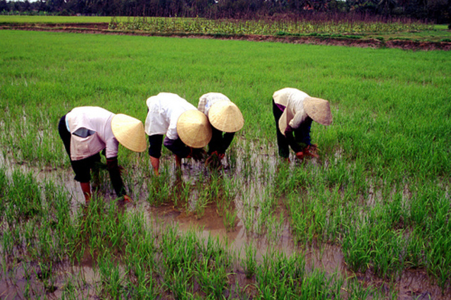 France's Interest in Indochina